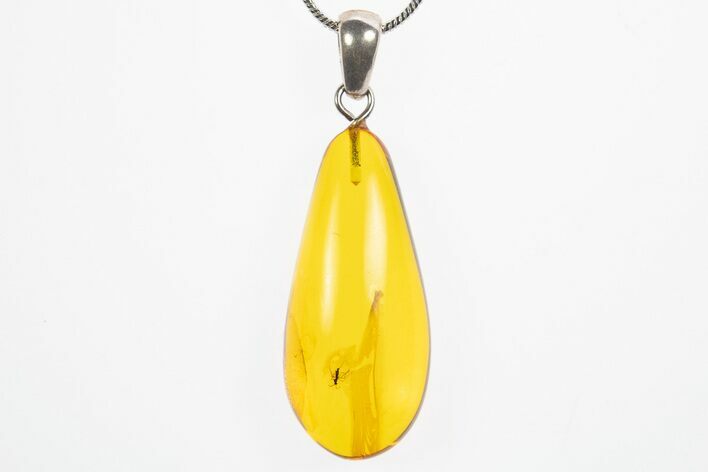 Polished Baltic Amber Pendant (Necklace) - Contains Fly! #307915